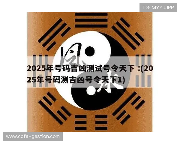 开运数字站：数字与风水的结合带来的积极影响