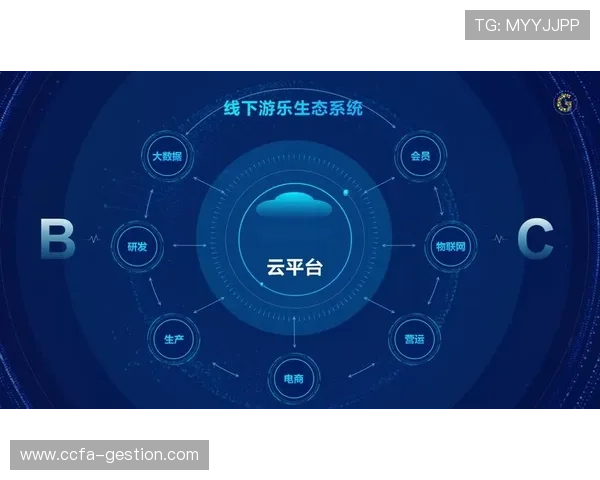 解决开云网址手机版会员登录常见问题，提升你的操作体验