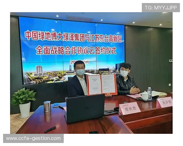 开云官方链接安全可靠，帮助用户轻松找到官方商城和最新促销信息